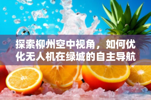 探索柳州空中视角，如何优化无人机在绿城的自主导航与避障？
