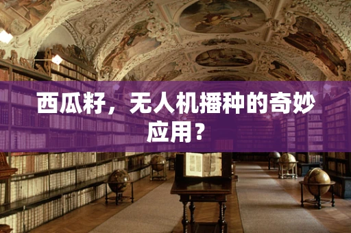西瓜籽，无人机播种的奇妙应用？