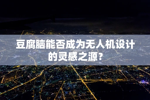 豆腐脑能否成为无人机设计的灵感之源？