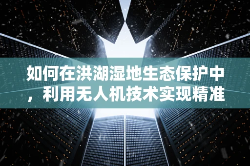如何在洪湖湿地生态保护中，利用无人机技术实现精准监测与干预？