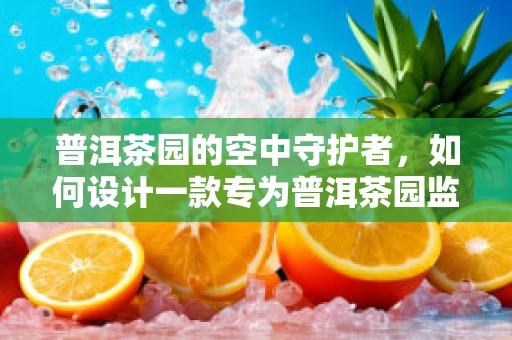 普洱茶园的空中守护者，如何设计一款专为普洱茶园监测的无人机？