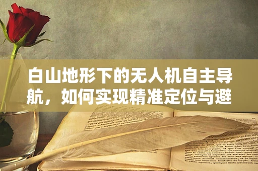 白山地形下的无人机自主导航，如何实现精准定位与避障？