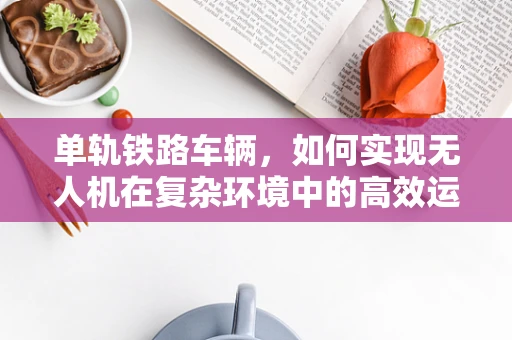 单轨铁路车辆，如何实现无人机在复杂环境中的高效运输？