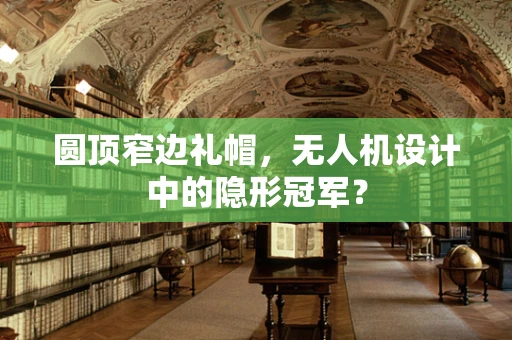 圆顶窄边礼帽，无人机设计中的隐形冠军？