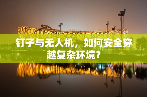 钉子与无人机，如何安全穿越复杂环境？