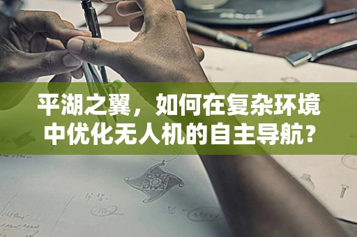 平湖之翼，如何在复杂环境中优化无人机的自主导航？