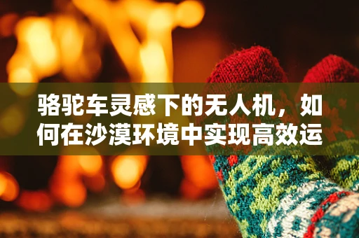 骆驼车灵感下的无人机，如何在沙漠环境中实现高效运输？