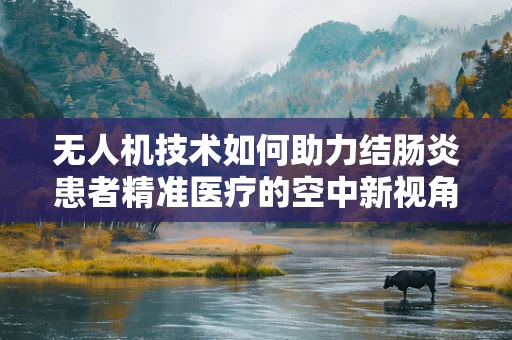 无人机技术如何助力结肠炎患者精准医疗的空中新视角？