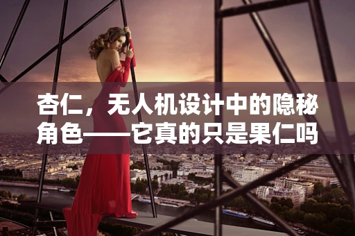 杏仁，无人机设计中的隐秘角色——它真的只是果仁吗？