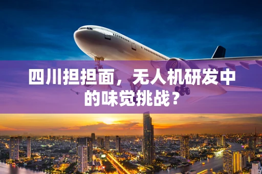 四川担担面，无人机研发中的味觉挑战？
