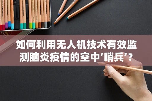如何利用无人机技术有效监测脑炎疫情的空中‘哨兵’？