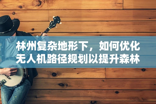 林州复杂地形下，如何优化无人机路径规划以提升森林监测效率？