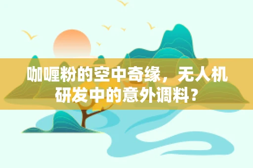 咖喱粉的空中奇缘，无人机研发中的意外调料？