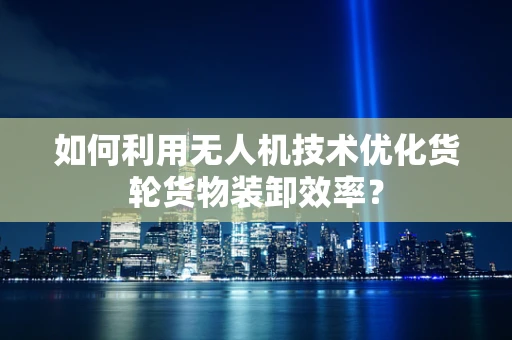 如何利用无人机技术优化货轮货物装卸效率？