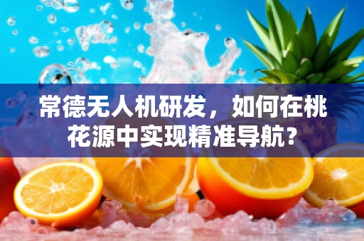 常德无人机研发，如何在桃花源中实现精准导航？
