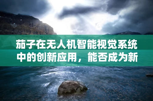 茄子在无人机智能视觉系统中的创新应用，能否成为新时代的‘空中侦探’？