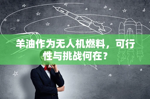 羊油作为无人机燃料，可行性与挑战何在？