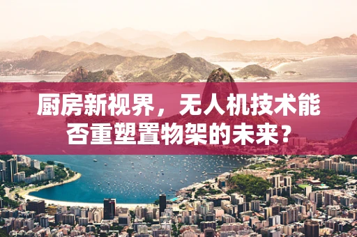 厨房新视界，无人机技术能否重塑置物架的未来？