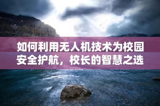 如何利用无人机技术为校园安全护航，校长的智慧之选？