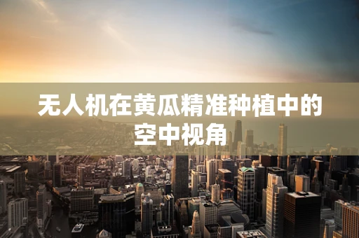 无人机在黄瓜精准种植中的空中视角