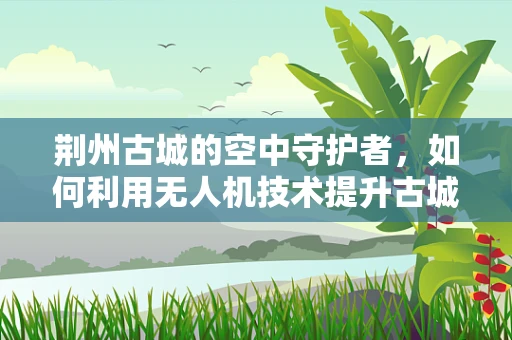 荆州古城的空中守护者，如何利用无人机技术提升古城保护与监控？