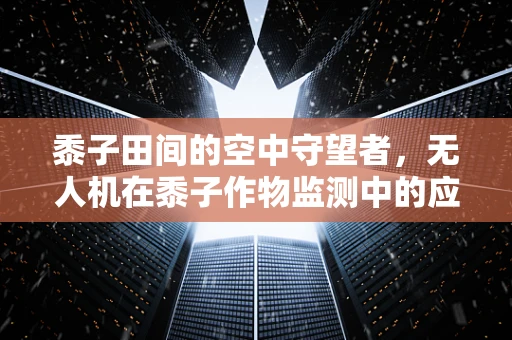 黍子田间的空中守望者，无人机在黍子作物监测中的应用挑战