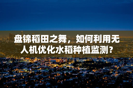 盘锦稻田之舞，如何利用无人机优化水稻种植监测？