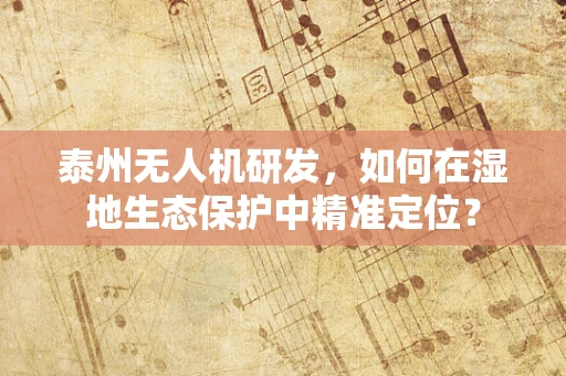 泰州无人机研发，如何在湿地生态保护中精准定位？