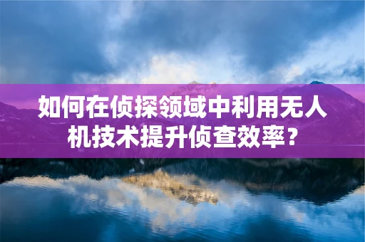 如何在侦探领域中利用无人机技术提升侦查效率？