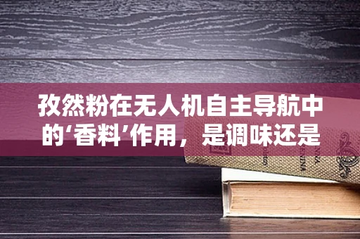 孜然粉在无人机自主导航中的‘香料’作用，是调味还是技术革新？