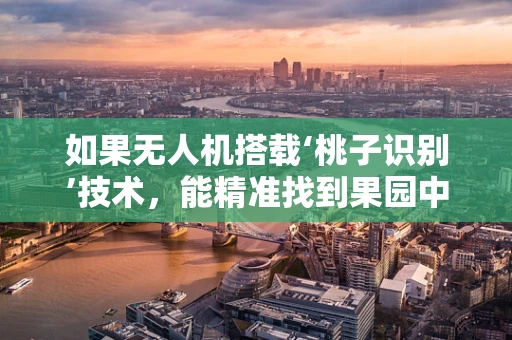 如果无人机搭载‘桃子识别’技术，能精准找到果园中的甜美果实吗？