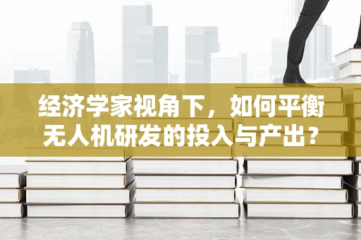 经济学家视角下，如何平衡无人机研发的投入与产出？