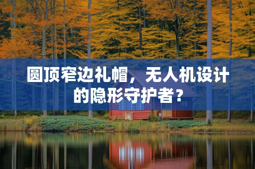 圆顶窄边礼帽，无人机设计的隐形守护者？