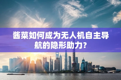 酱菜如何成为无人机自主导航的隐形助力？
