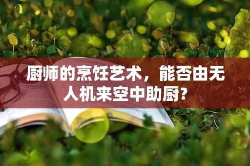 厨师的烹饪艺术，能否由无人机来空中助厨？