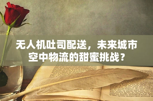 无人机吐司配送，未来城市空中物流的甜蜜挑战？