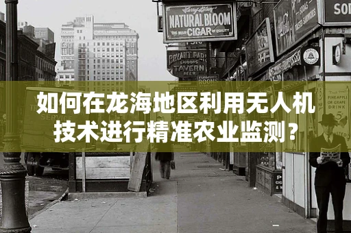 如何在龙海地区利用无人机技术进行精准农业监测？