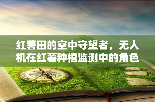 红薯田的空中守望者，无人机在红薯种植监测中的角色？