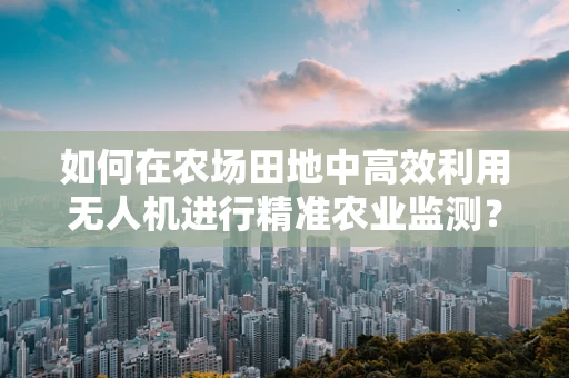如何在农场田地中高效利用无人机进行精准农业监测？