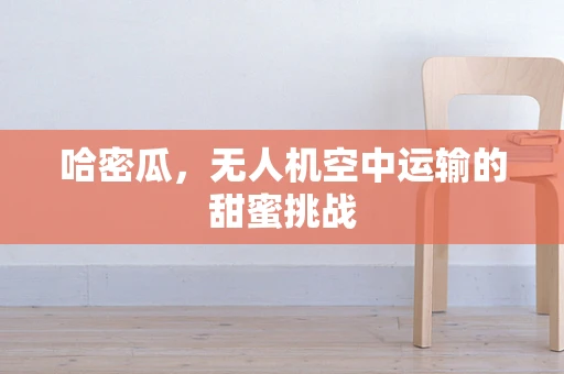 哈密瓜，无人机空中运输的甜蜜挑战