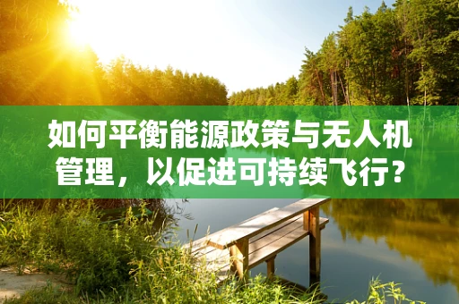 如何平衡能源政策与无人机管理，以促进可持续飞行？