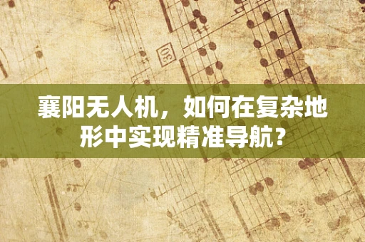 襄阳无人机，如何在复杂地形中实现精准导航？