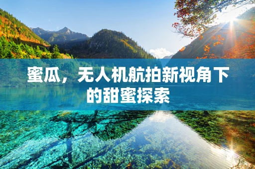 蜜瓜，无人机航拍新视角下的甜蜜探索