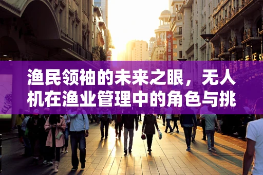 渔民领袖的未来之眼，无人机在渔业管理中的角色与挑战