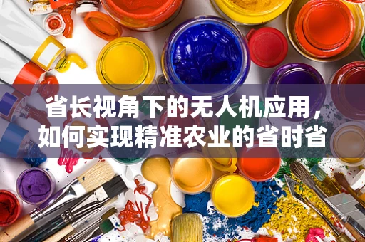 省长视角下的无人机应用，如何实现精准农业的省时省力