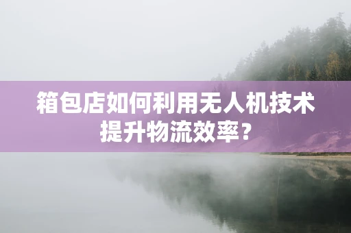 箱包店如何利用无人机技术提升物流效率？