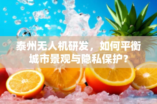 泰州无人机研发，如何平衡城市景观与隐私保护？