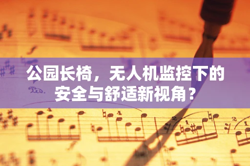 公园长椅，无人机监控下的安全与舒适新视角？