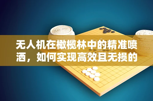 无人机在橄榄林中的精准喷洒，如何实现高效且无损的作业？