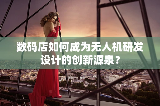 数码店如何成为无人机研发设计的创新源泉？